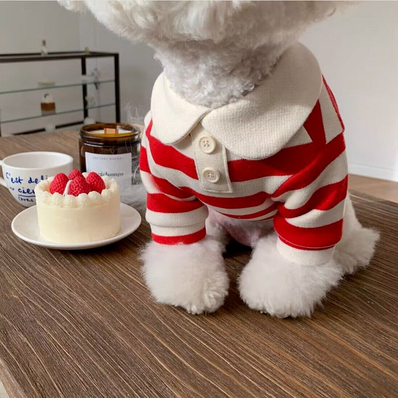 Pomeranian Poodle Small Dog Clothing