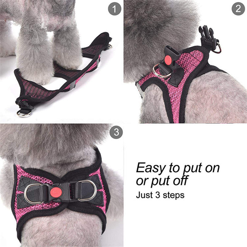 Reflective Dog Leash with Harness