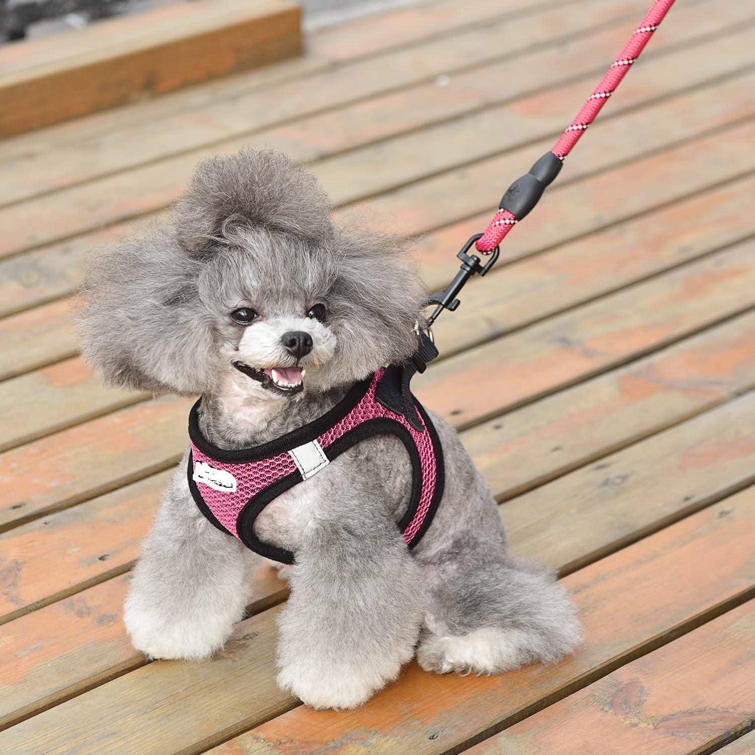 Reflective Dog Leash with Harness