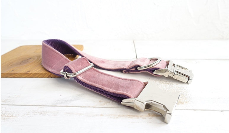 Pet Traction Dog Collar