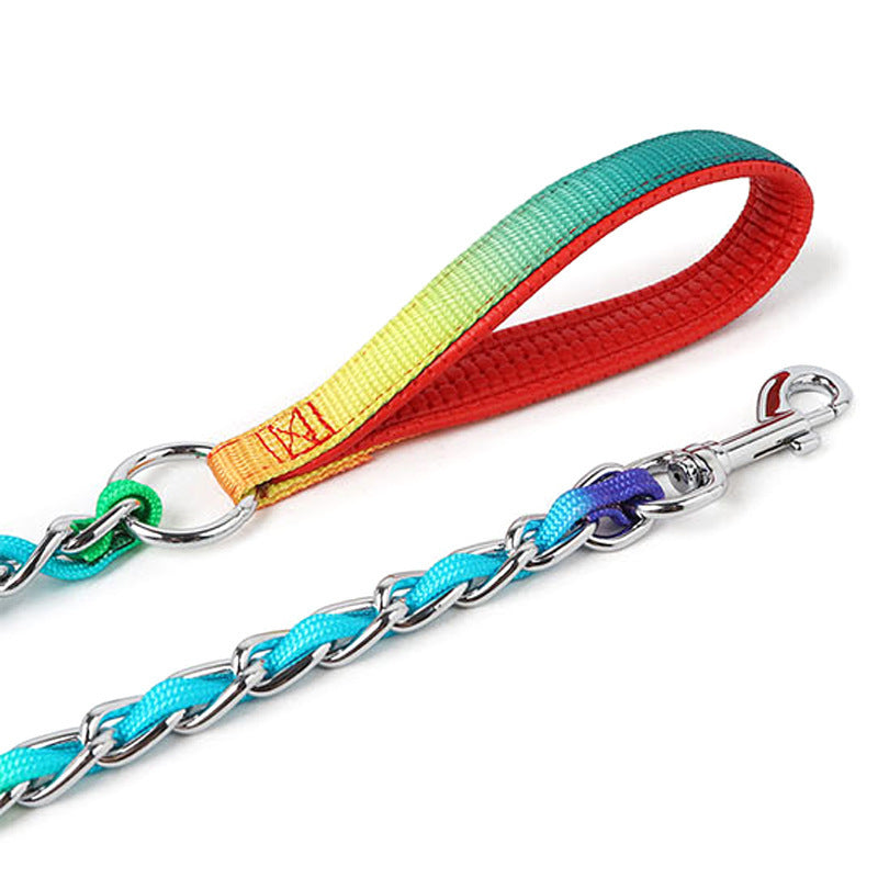 Medium Small Dog Rainbow Dog Chain Metal Dog Leash