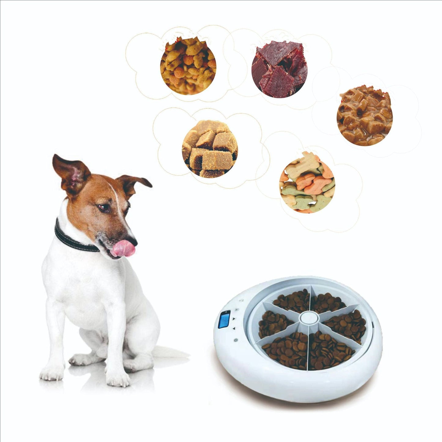 Six-Hole Smart Timing Dog Feeder Quantitative Voice Reminder Automatic Feeder