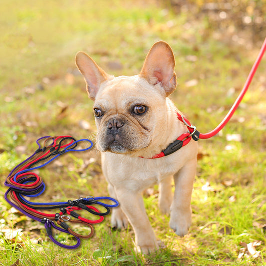 Dog leash dog leash pet leash - Pooch2Spoil