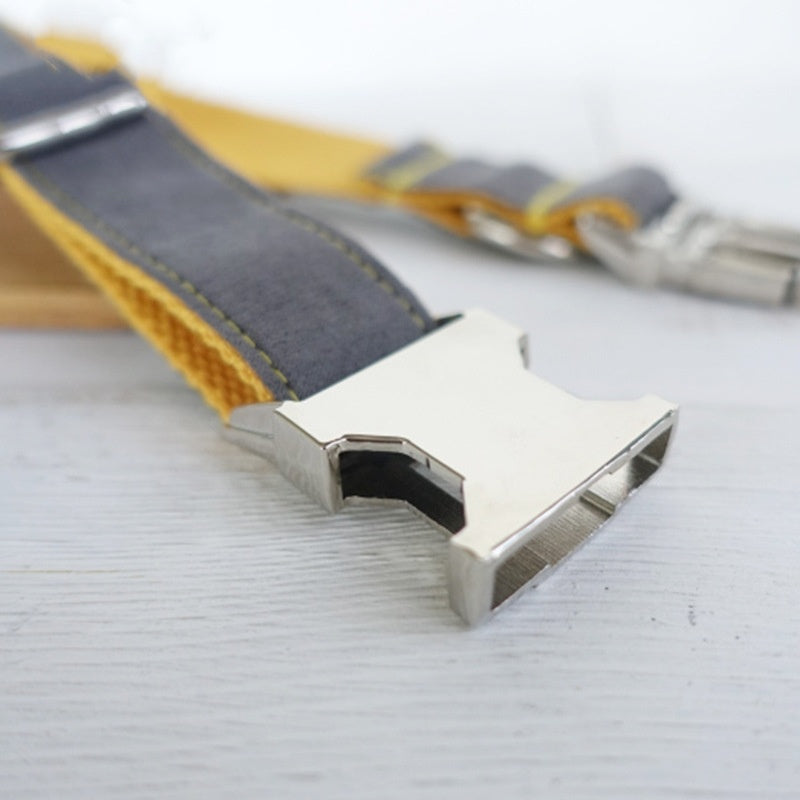 Retractable Dog Collar Leaning Collar