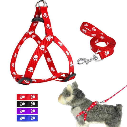Printed dog leash - Pooch2Spoil