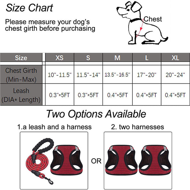 Reflective Dog Leash with Harness
