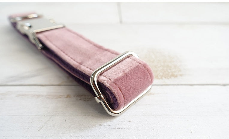 Pet Traction Dog Collar