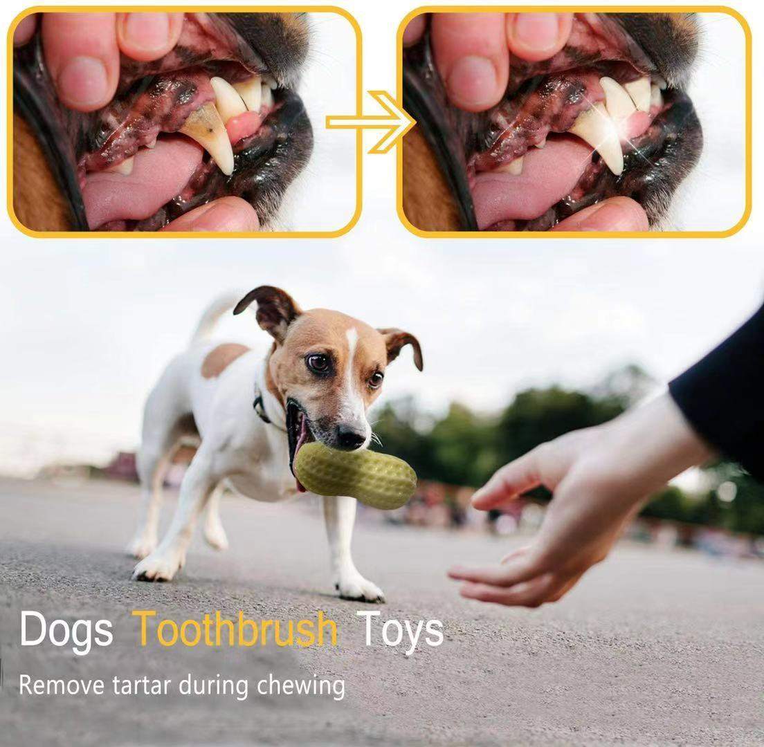 Funny Pet Dog Squeaky Toy, Bite Resistant Puppy Dog Toy