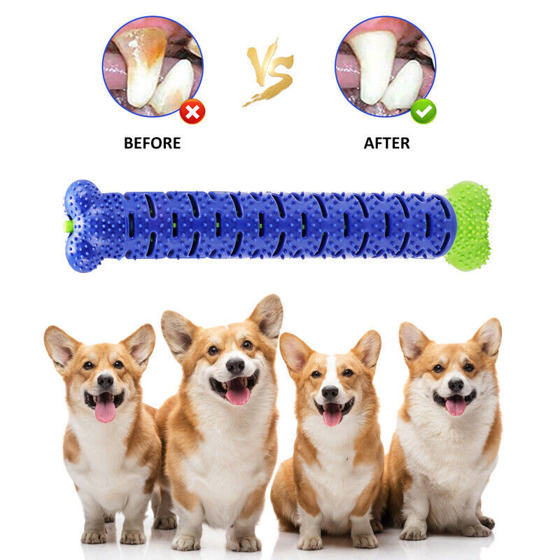 Dogs Toothbrush Chewing Bite Toys