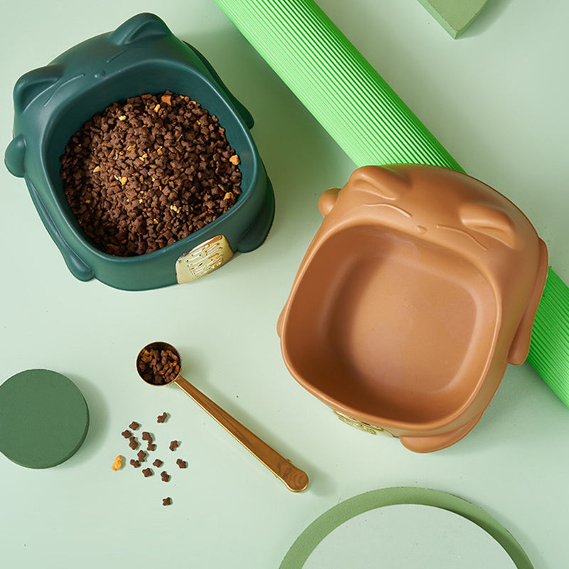 Pet Food Bowl