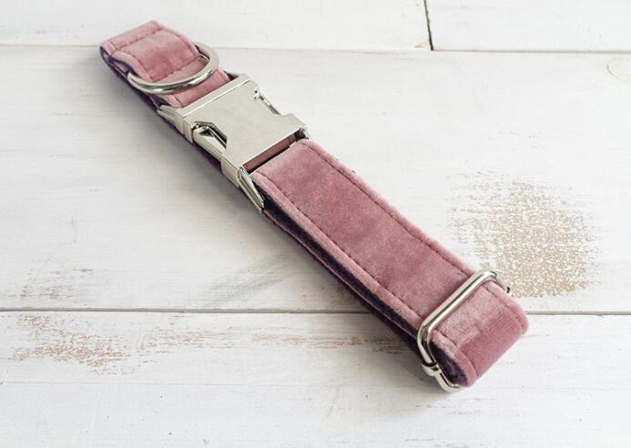 Pet Traction Dog Collar
