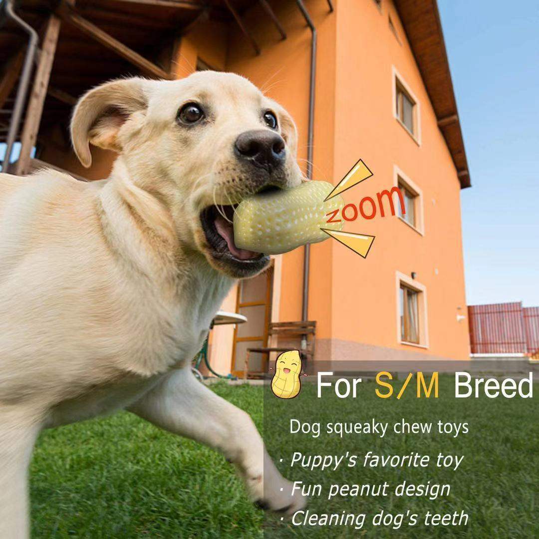 Funny Pet Dog Squeaky Toy, Bite Resistant Puppy Dog Toy