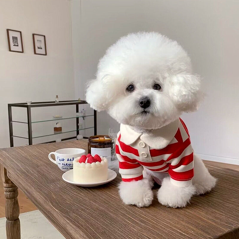 Pomeranian Poodle Small Dog Clothing