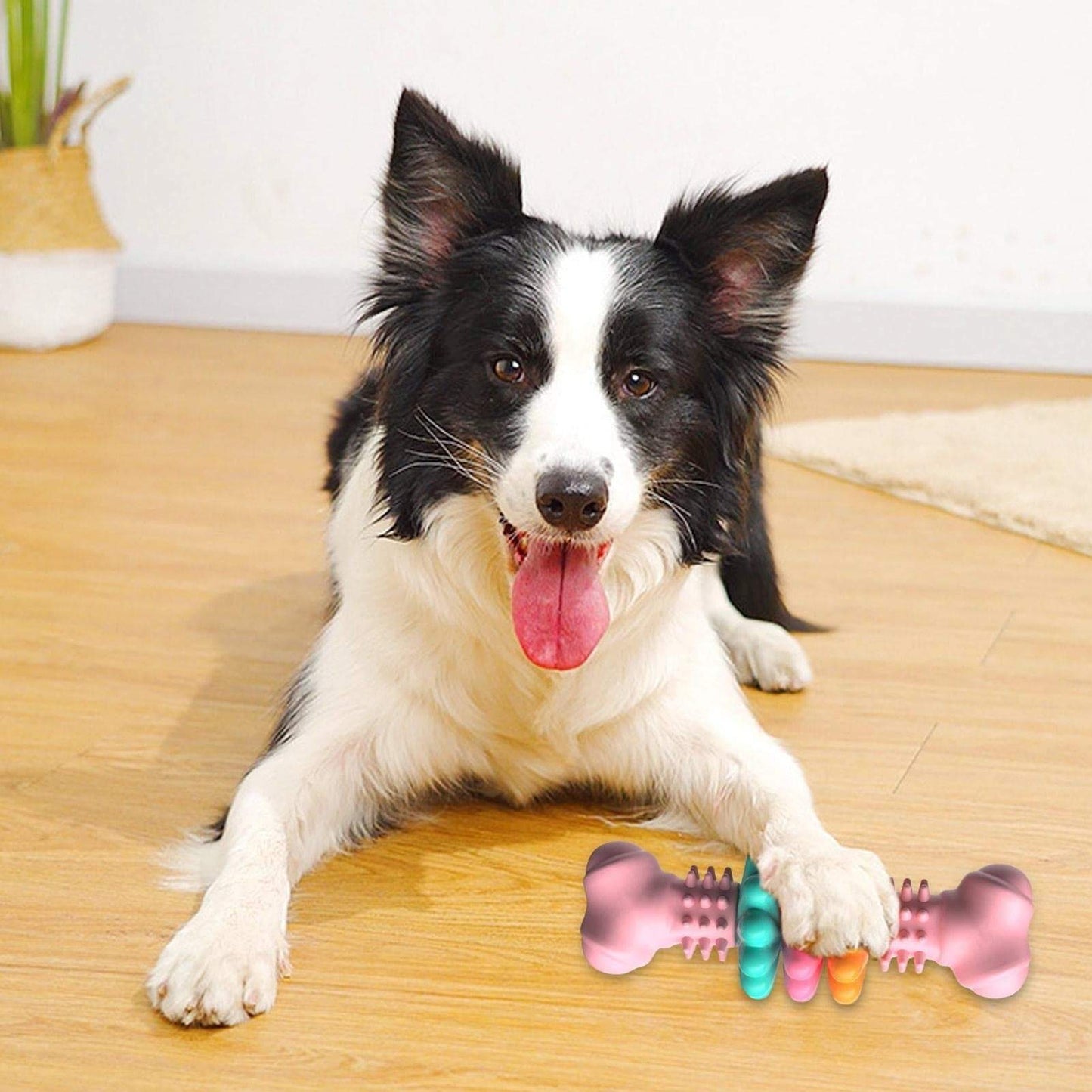 Dog Chew Toy, Dog Bone Type Teeth Cleaning Toy