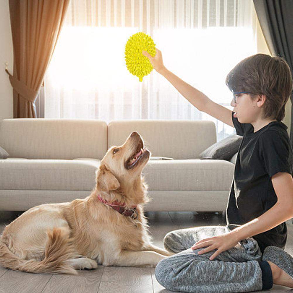 Dog Chewing Toy, Dog Teeth Cleaning Ball, Puppy Dog Safety Chew Toy