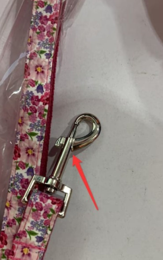 Classic Leash Set