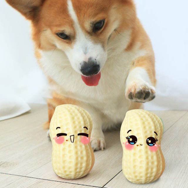 Funny Pet Dog Squeaky Toy, Bite Resistant Puppy Dog Toy