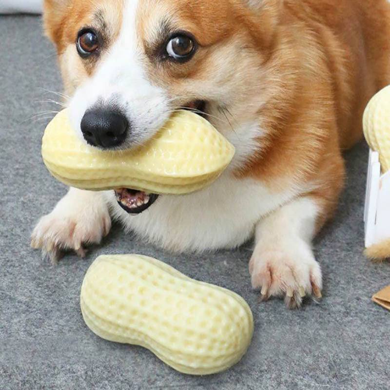 Funny Pet Dog Squeaky Toy, Bite Resistant Puppy Dog Toy