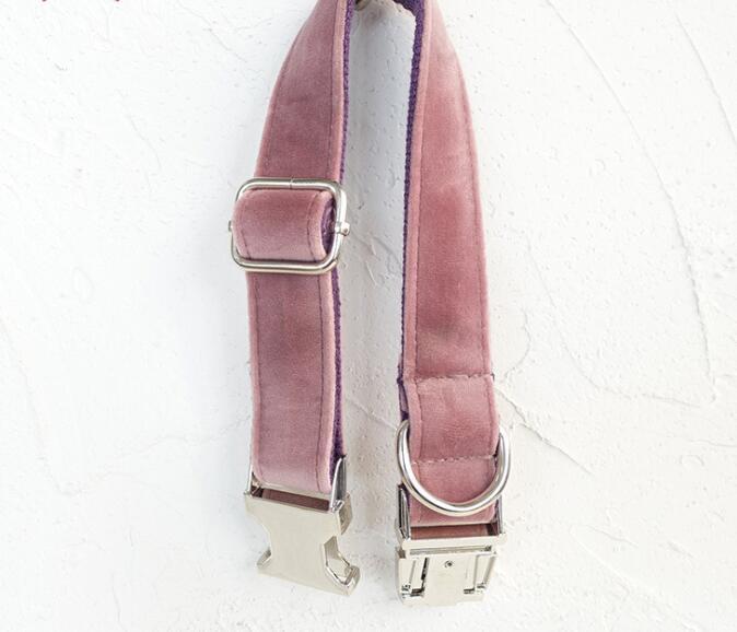 Pet Traction Dog Collar