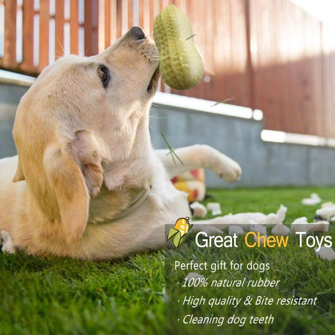 Funny Pet Dog Squeaky Toy, Bite Resistant Puppy Dog Toy