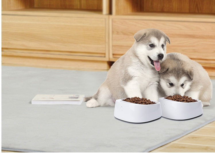 Pet weighing dog food bowl - Pooch2Spoil