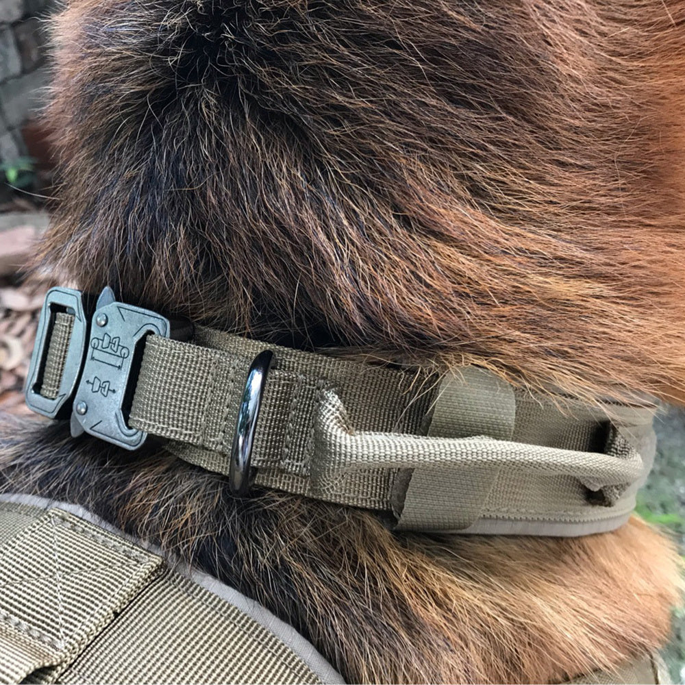 Medium Large and Extra Large Dog collar