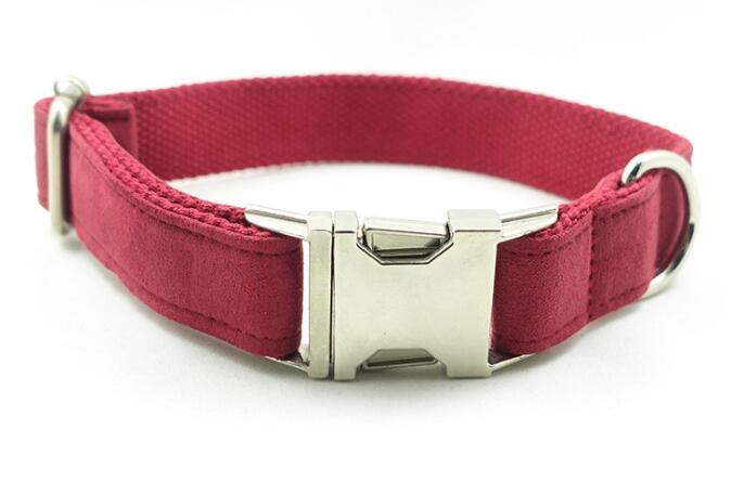 Pet Traction Dog Collar - Pooch2Spoil