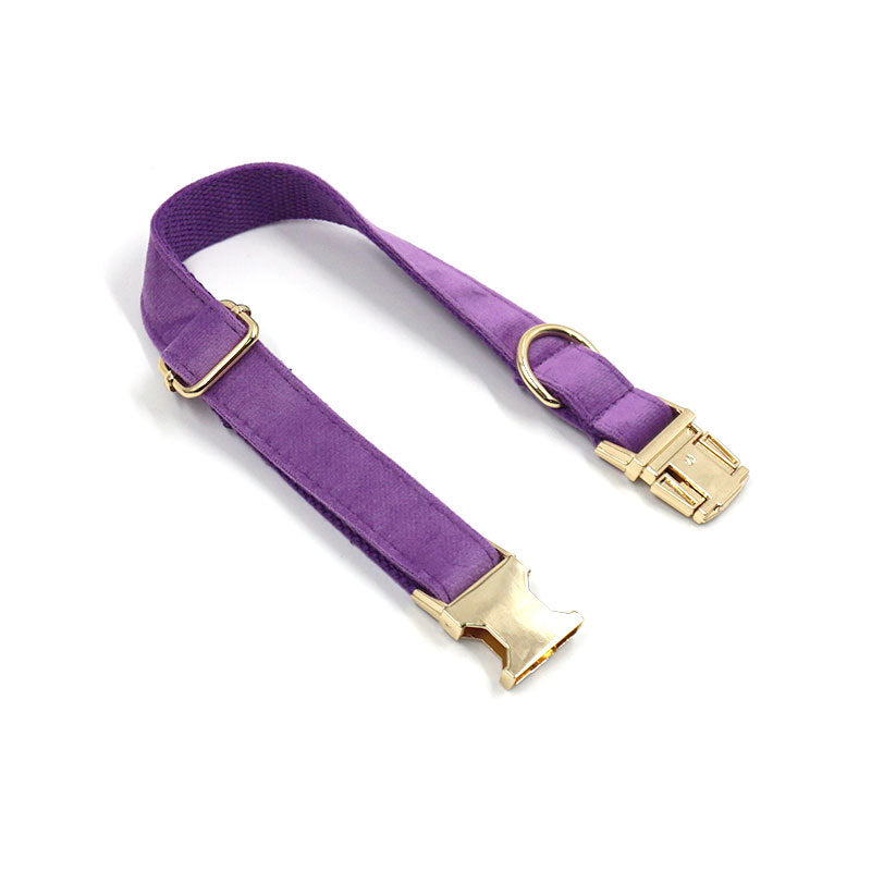 Purple Velvet Gold Buckle Lettering Dog Collar