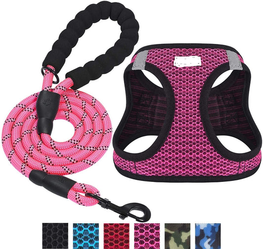 Reflective Dog Leash with Harness