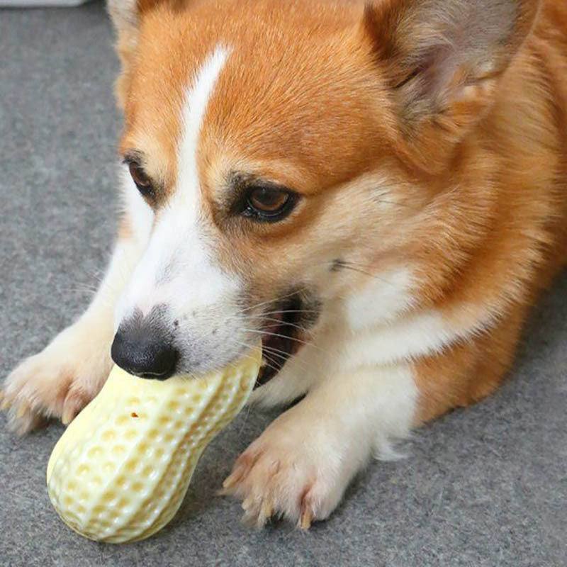 Funny Pet Dog Squeaky Toy, Bite Resistant Puppy Dog Toy