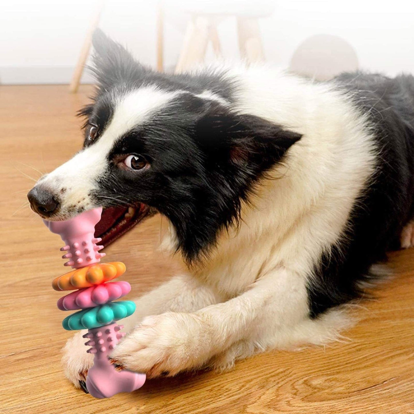 Dog Chew Toy, Dog Bone Type Teeth Cleaning Toy
