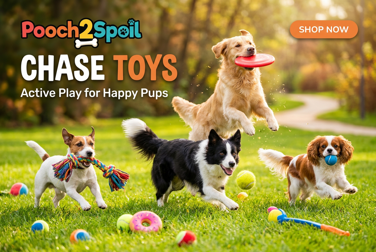 Dog Chase Toys