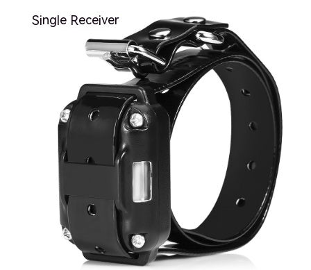 Remote Control Dog Training Device Dog Collar - Pooch2Spoil