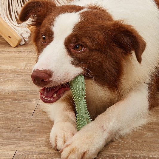 Chewing Dog Toys Dog Toothbrush Teeth Cleaning Dog Toy Brushing Dog Stick