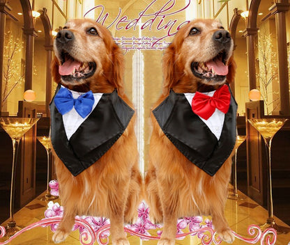 Wedding Tuxedo Triangle Dog Scarf, Large Golden Hair Ancient Handsome Dog Scarf