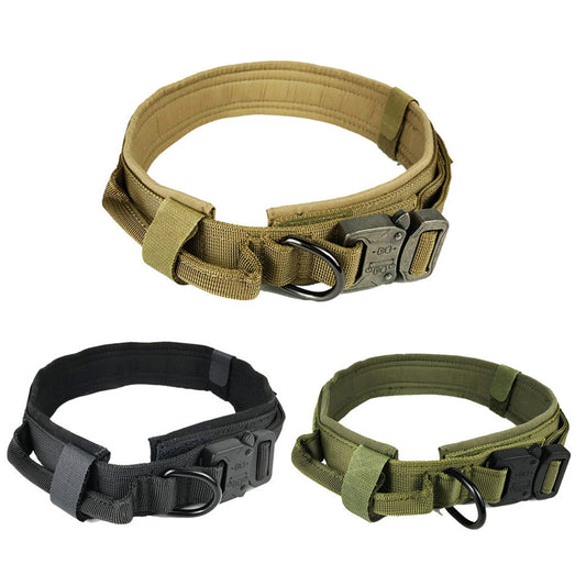 Medium Large and Extra Large Dog collar