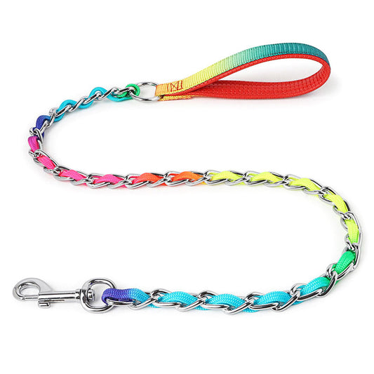 Medium Small Dog Rainbow Dog Chain Metal Dog Leash