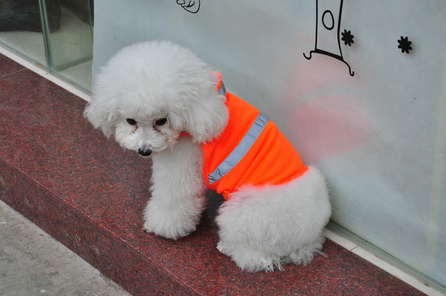 Summer Dog Clothing Reflective Pet Clothing Work Dog Safety Clothing