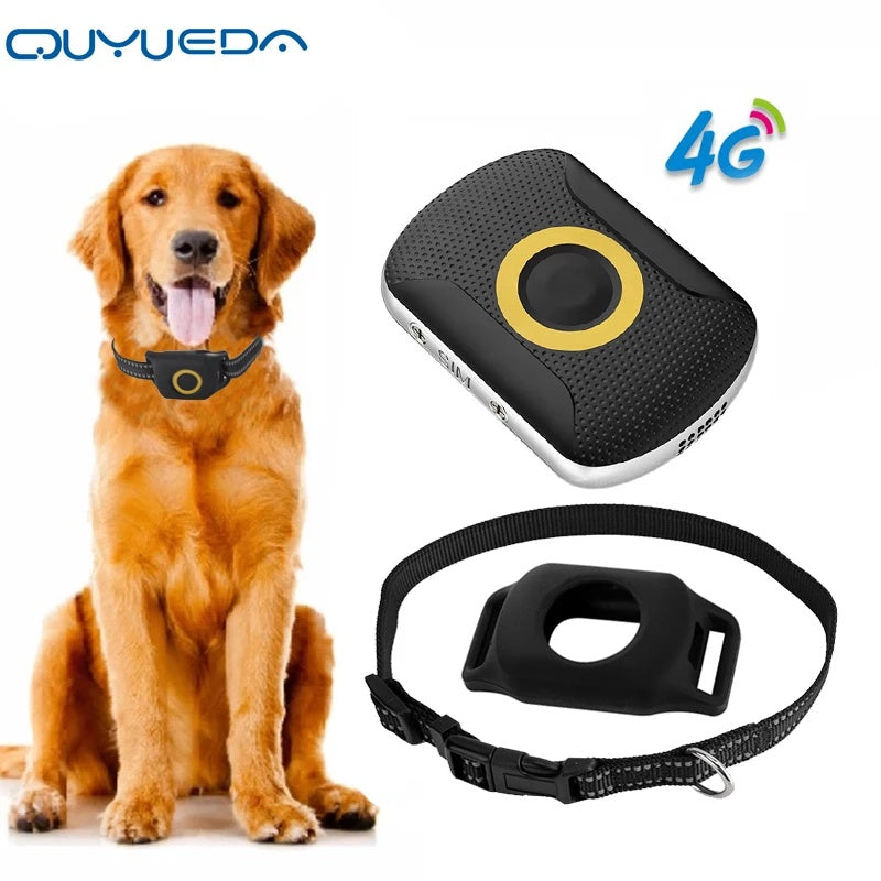 Real-time Dog GPS Tracker