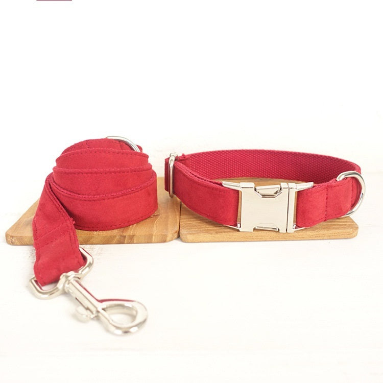 Pet Traction Dog Collar - Pooch2Spoil