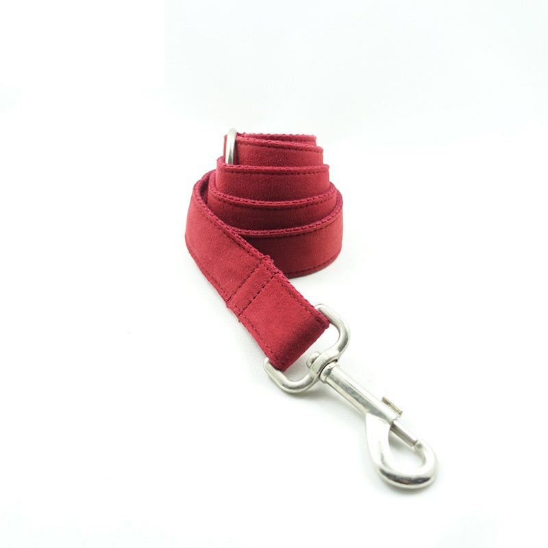 Pet Traction Dog Collar - Pooch2Spoil