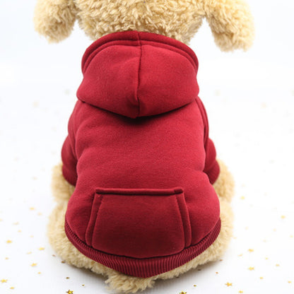 Winter teacup dog costume