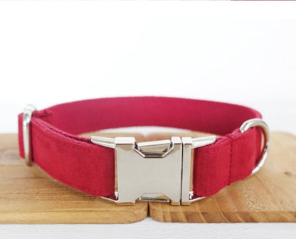 Pet Traction Dog Collar