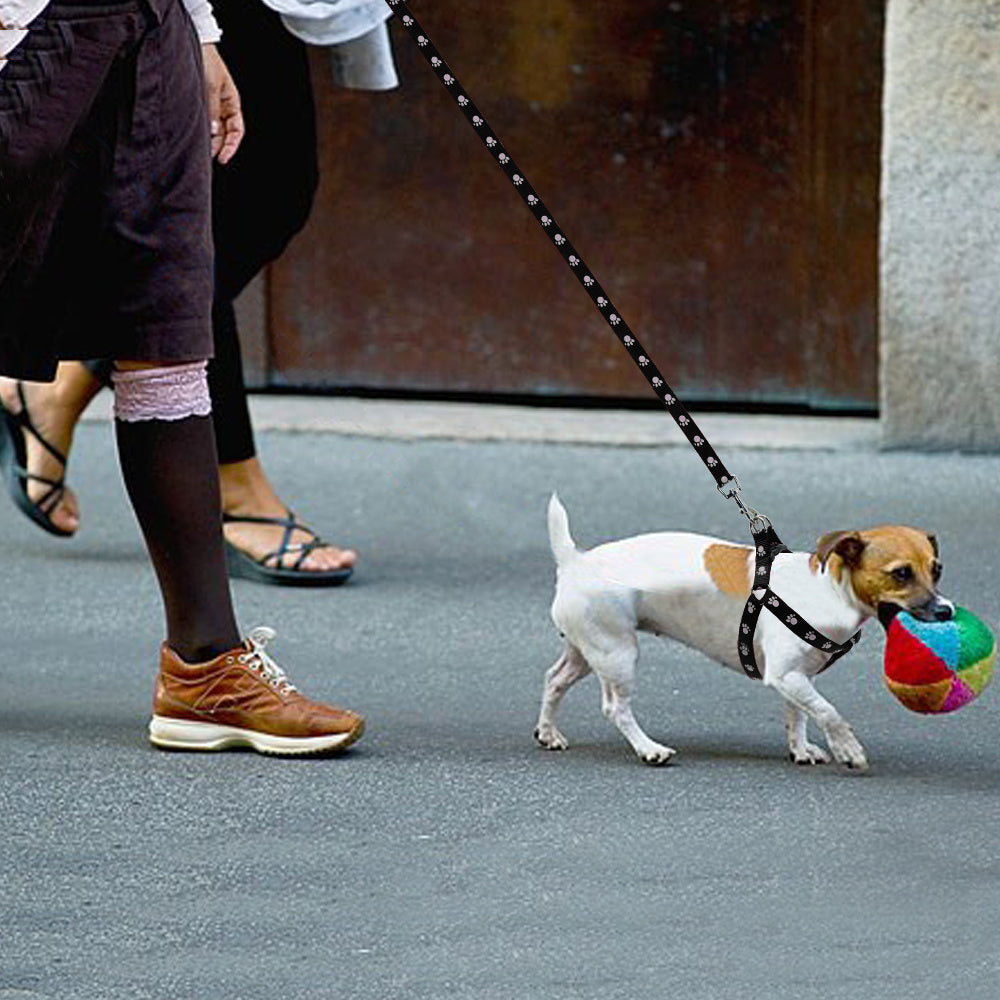 Printed dog leash