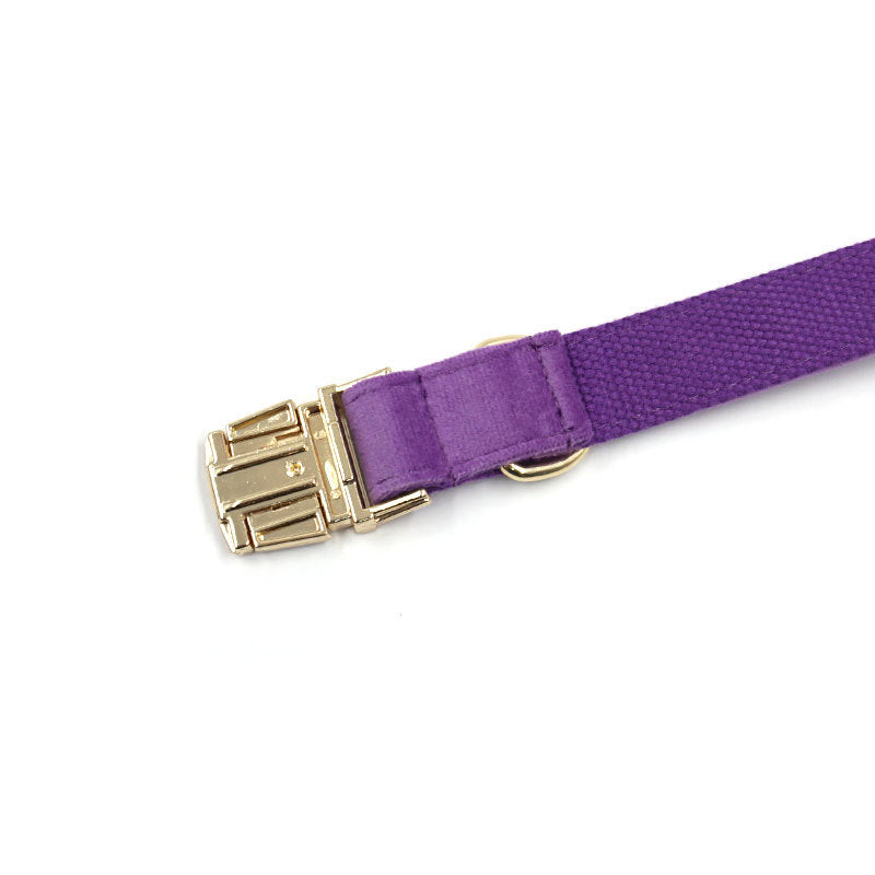 Purple Velvet Gold Buckle Lettering Dog Collar