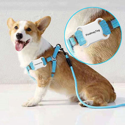 Smart Dog GPS Locator