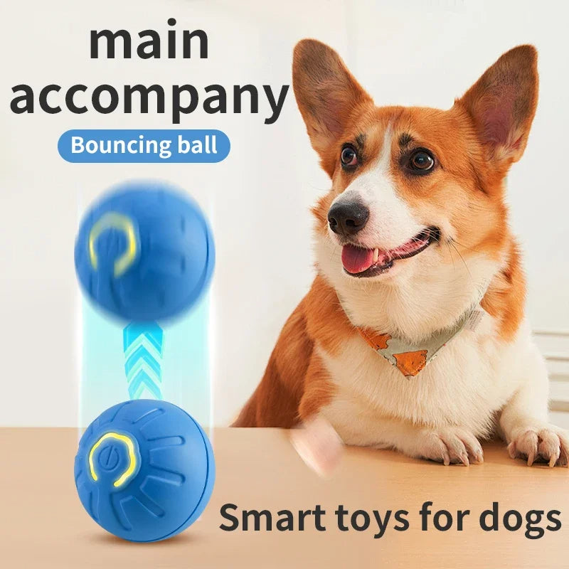 Electronic Smart Dog Toy Ball