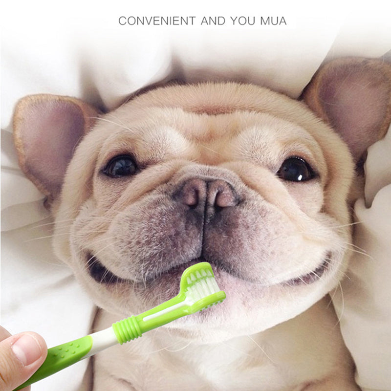 Dog Three-head and Finger Toothbrush