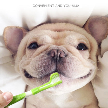 Dog Three-head and Finger Toothbrush