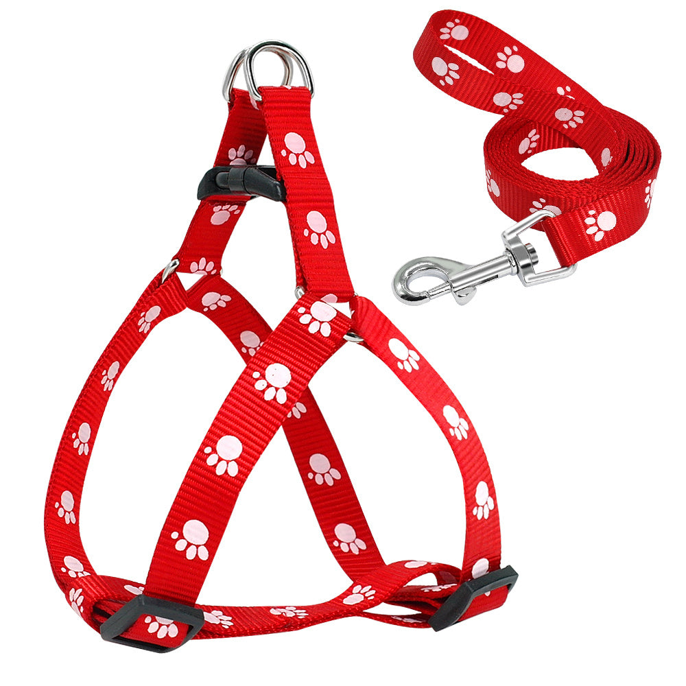 Printed dog leash - Pooch2Spoil